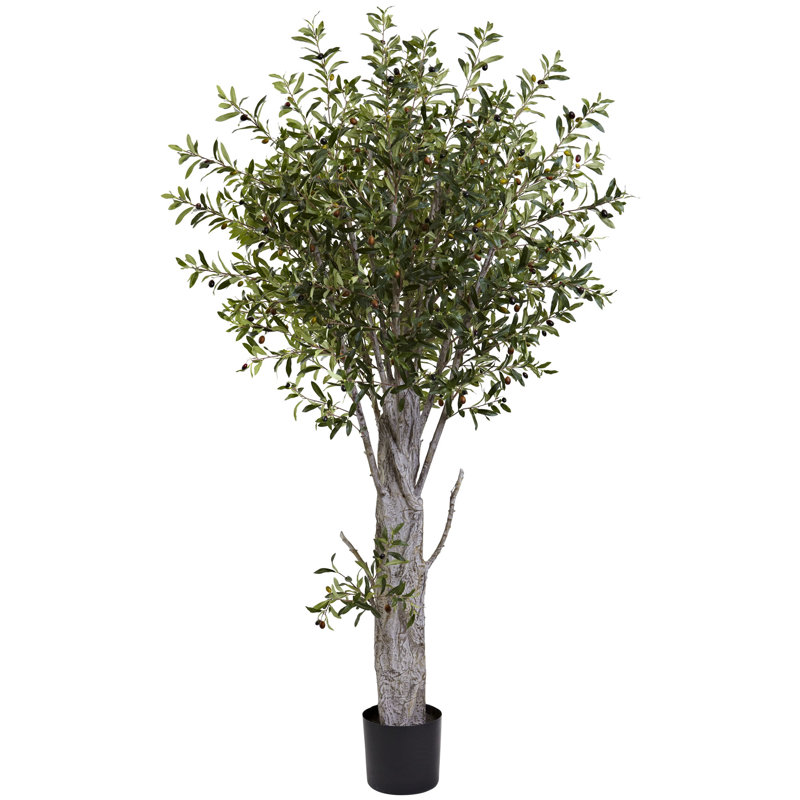 Charlton Home® 72" Artificial Olive Tree in Planter Wayfair